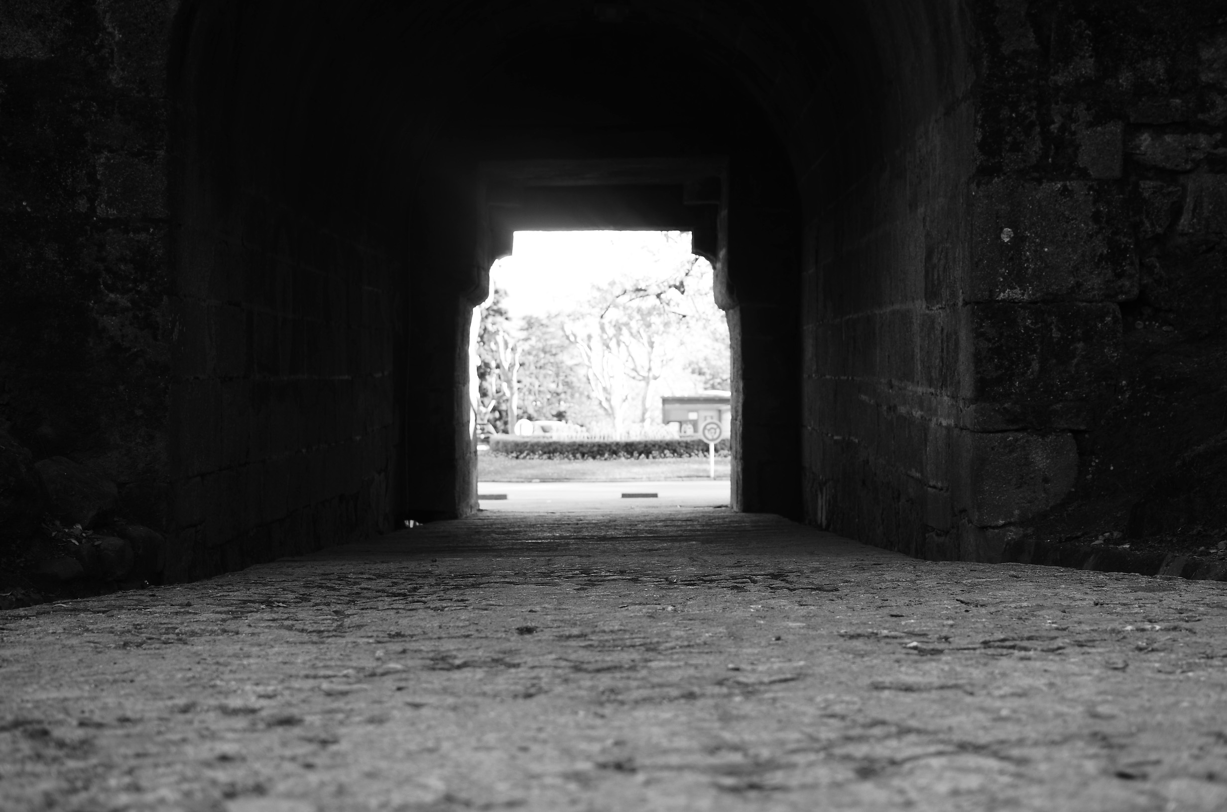 Túnel, por Paula Verde